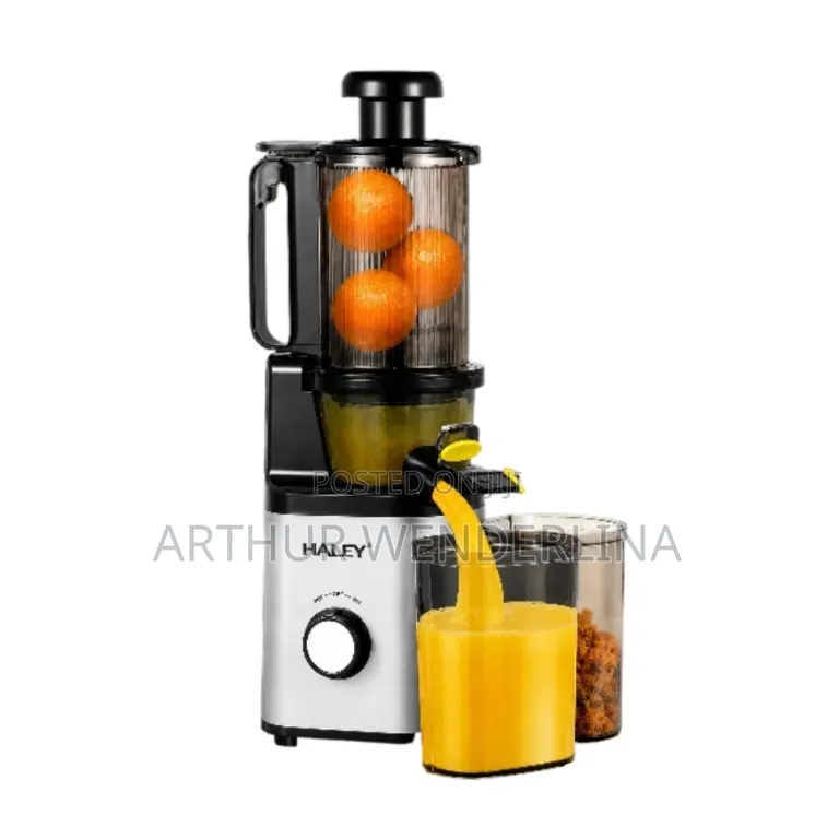 Haley Slow Juicer Hy 608
