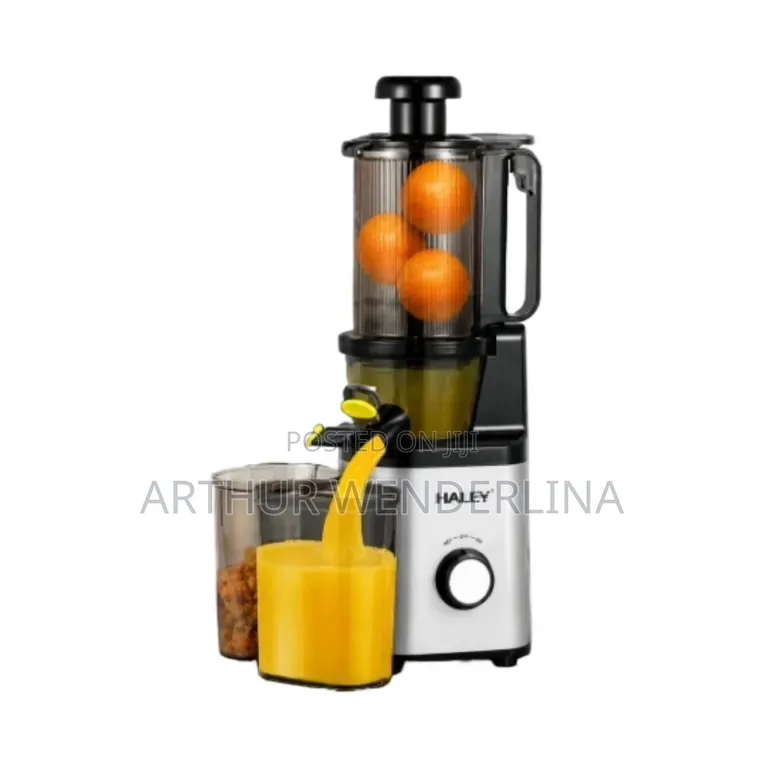 Haley Slow Juicer Hy 608