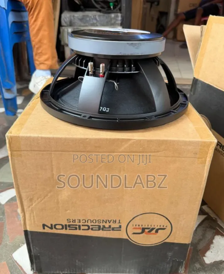 JAC Professional MS12H20G 12-Inch Single Magnet Naked Raw Speaker