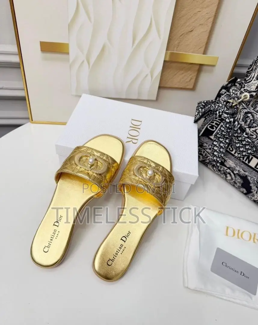 Dior Ladies Slippers