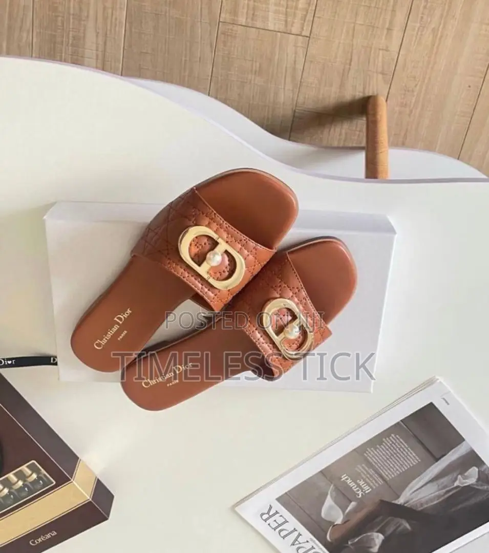 Dior Ladies Slippers