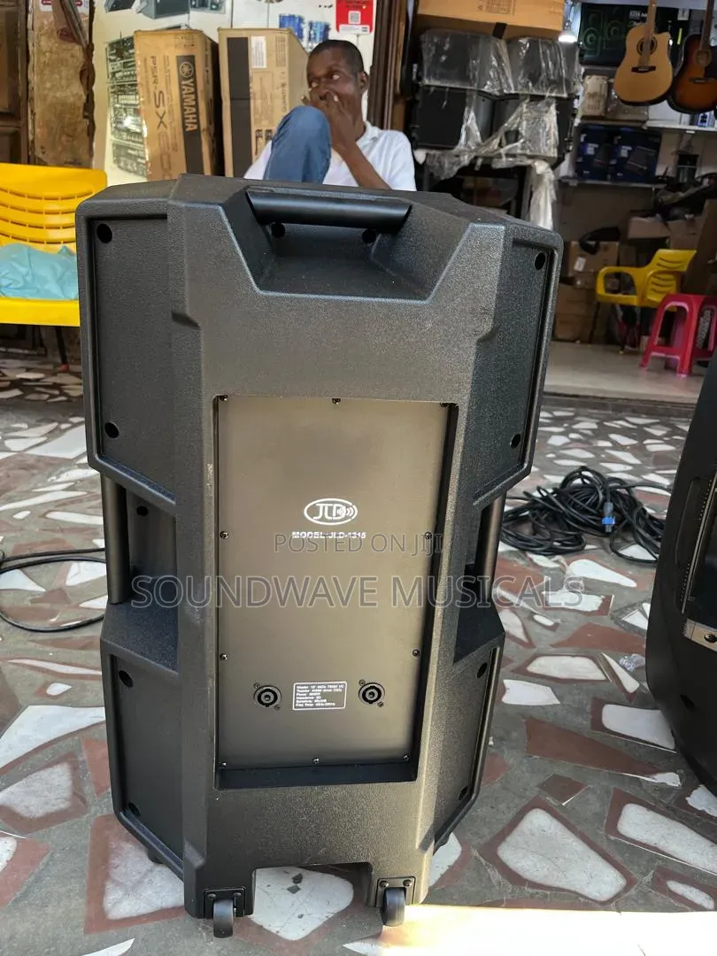 A Pair of JLD-1315 Passive Speaker