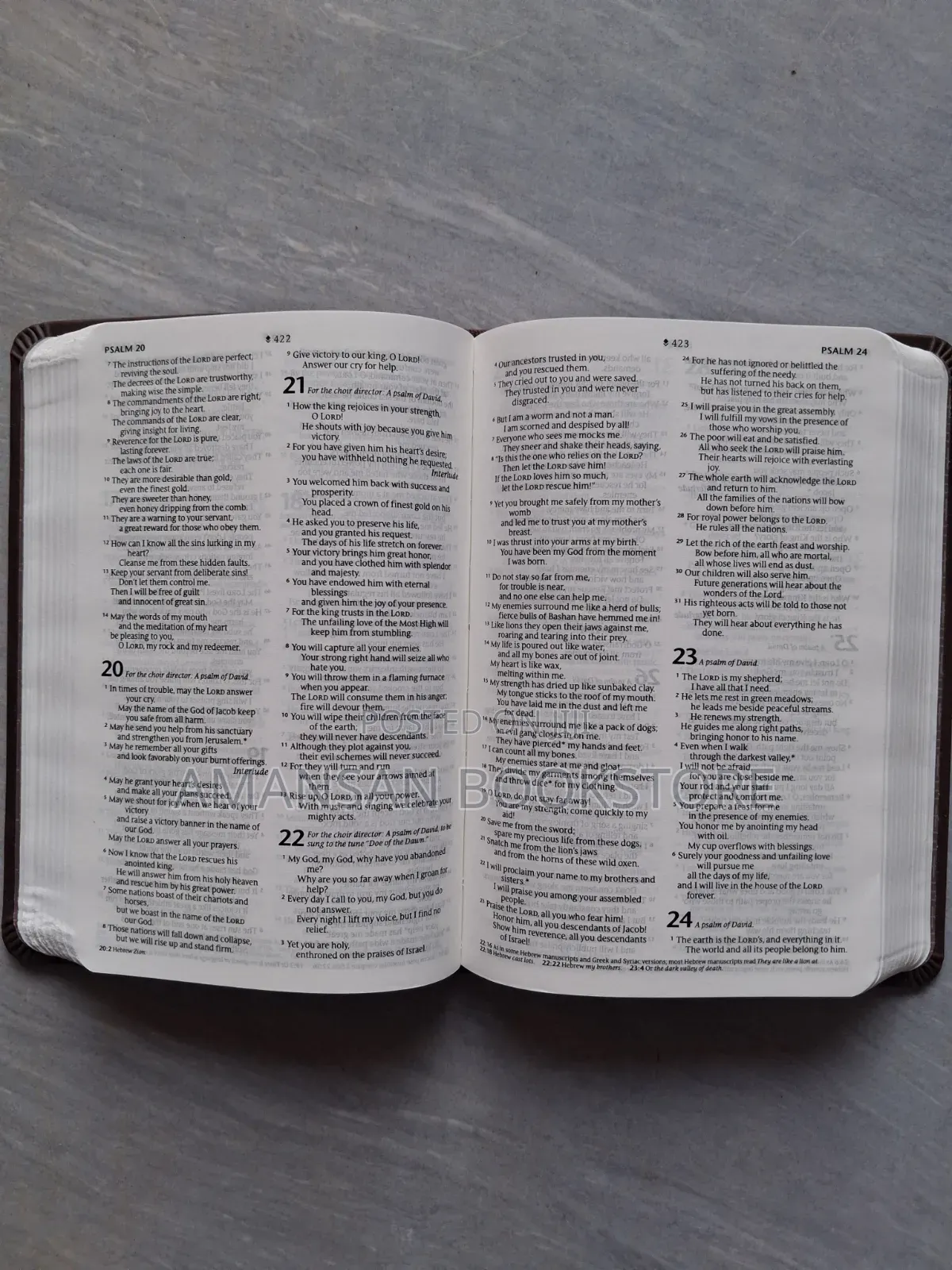 NLT Holy Bible