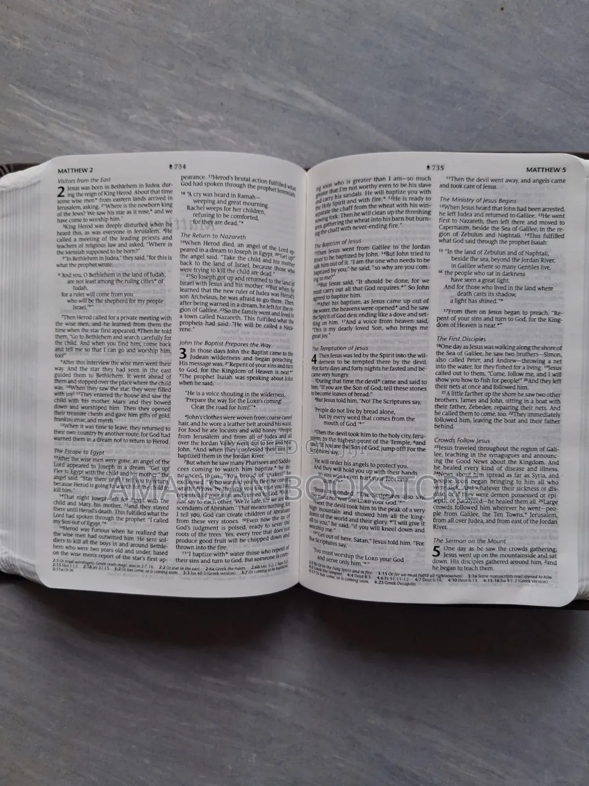 NLT Holy Bible