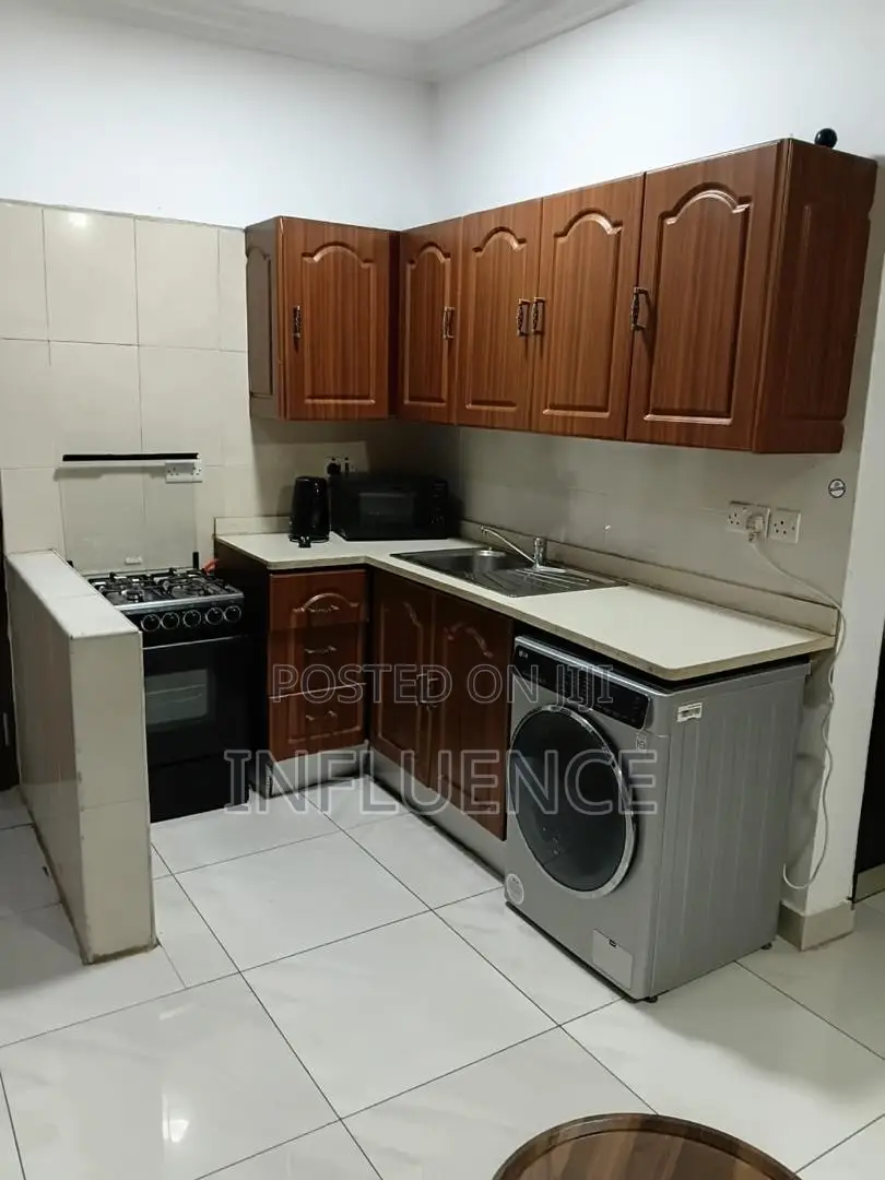 Furnished 1bdrm Apartment in Osu for rent