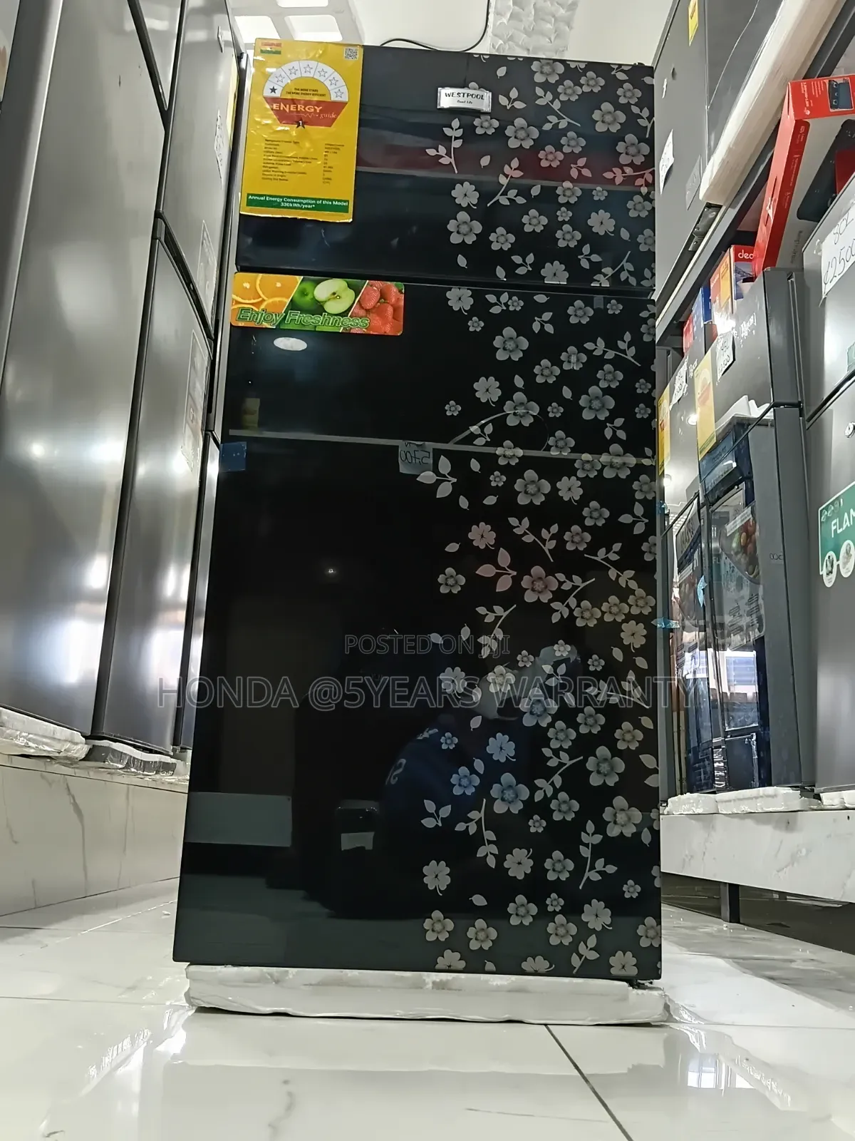Westpool Refrigerator - Double Door, Floral Glass
