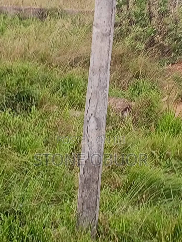 Land for Sale at Oyibi