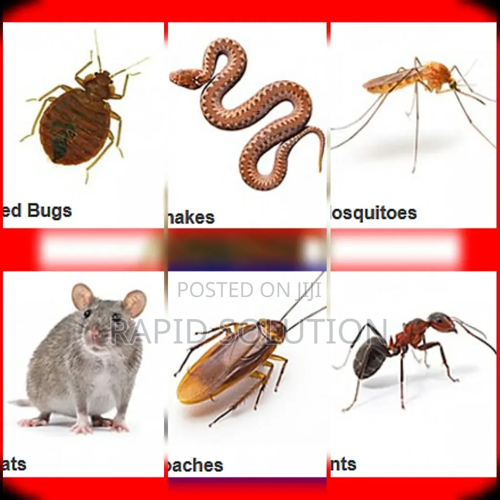 Snakes, Mosquitoes, Muse, Cockroaches, Bedbugs, Ants Specialist