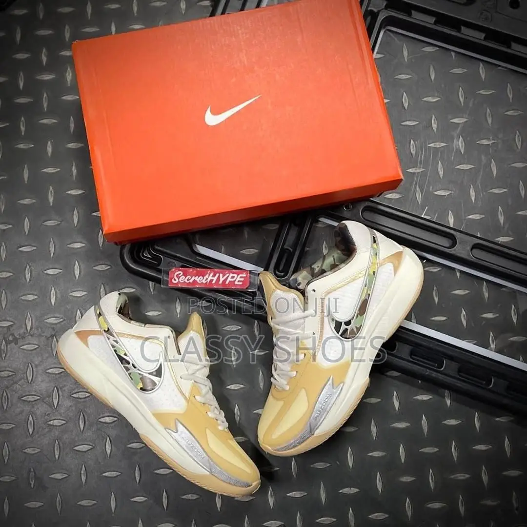 Nike X LeBron
