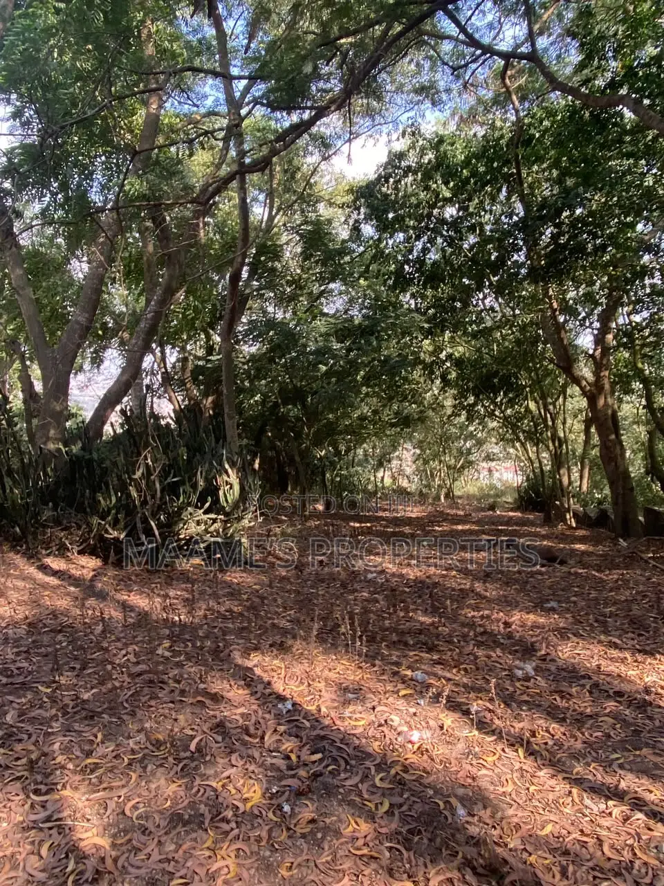 6 Plots of Land at Peduase Around Hephzibah Prayer Retreat