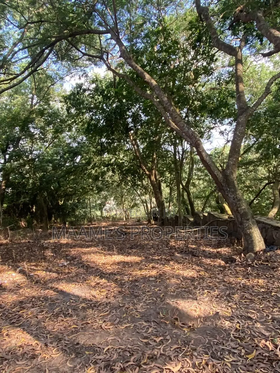 6 Plots of Land at Peduase Around Hephzibah Prayer Retreat