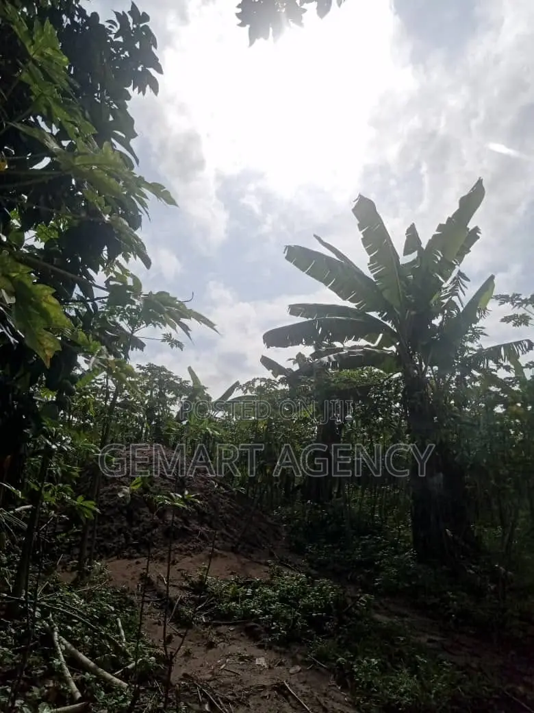 1 Plot of Land at Nsawam Okanta