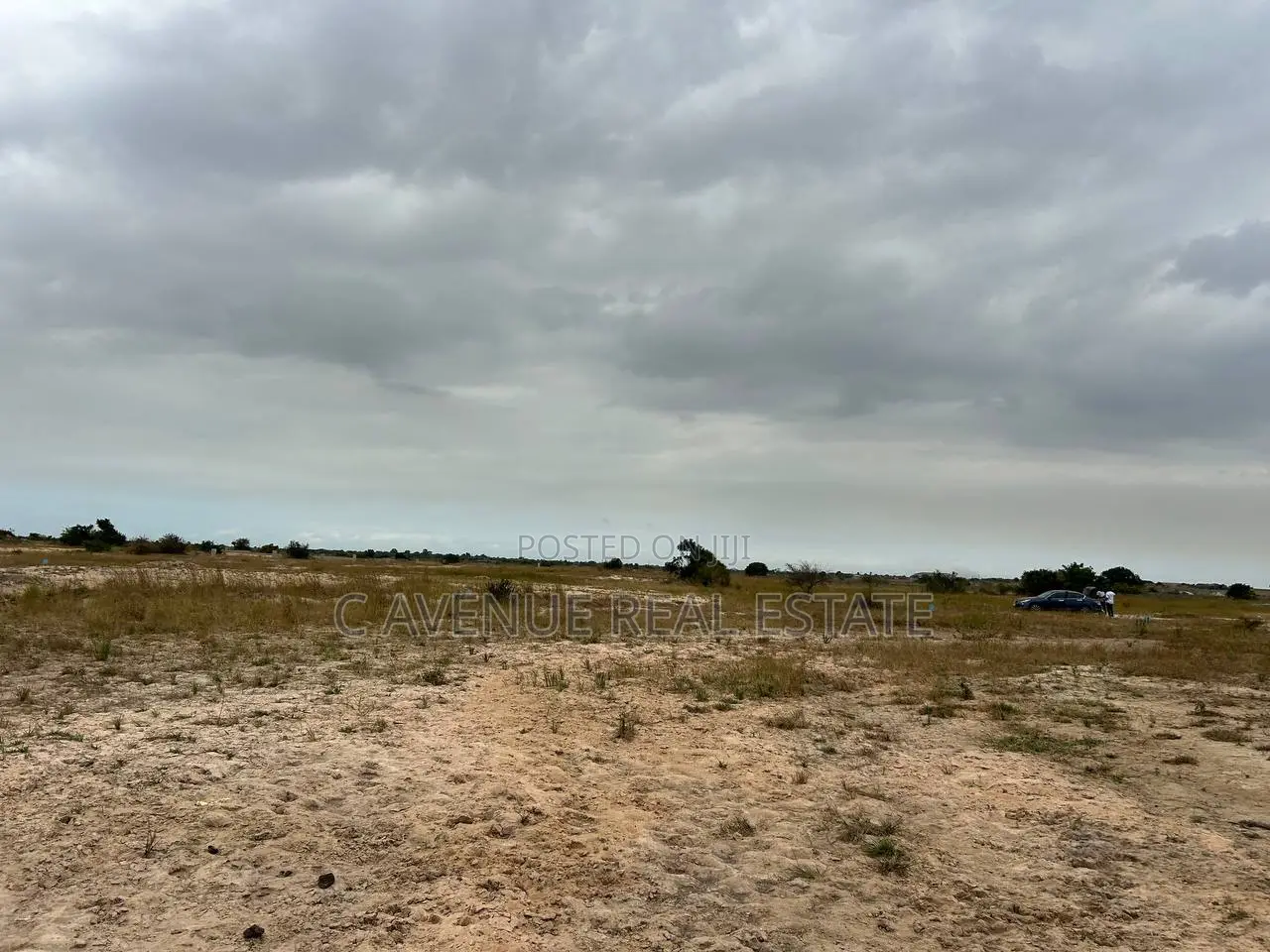 Your Land Ownership Journey Starts Here