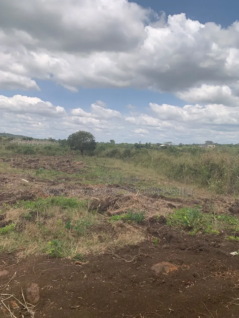 Securing Land, Securing Futures