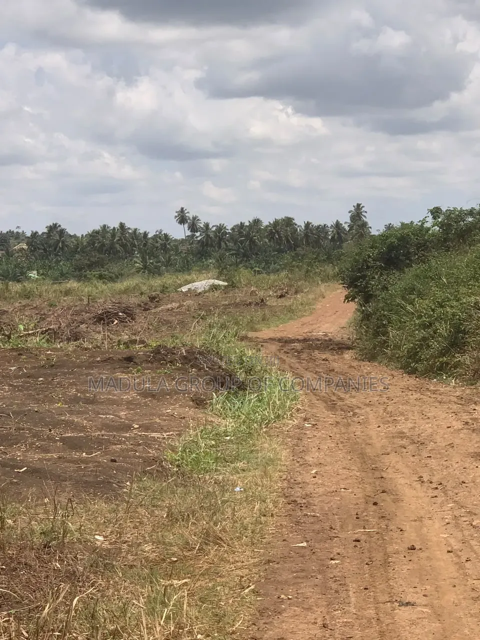 The Standard for Safe Land Investment