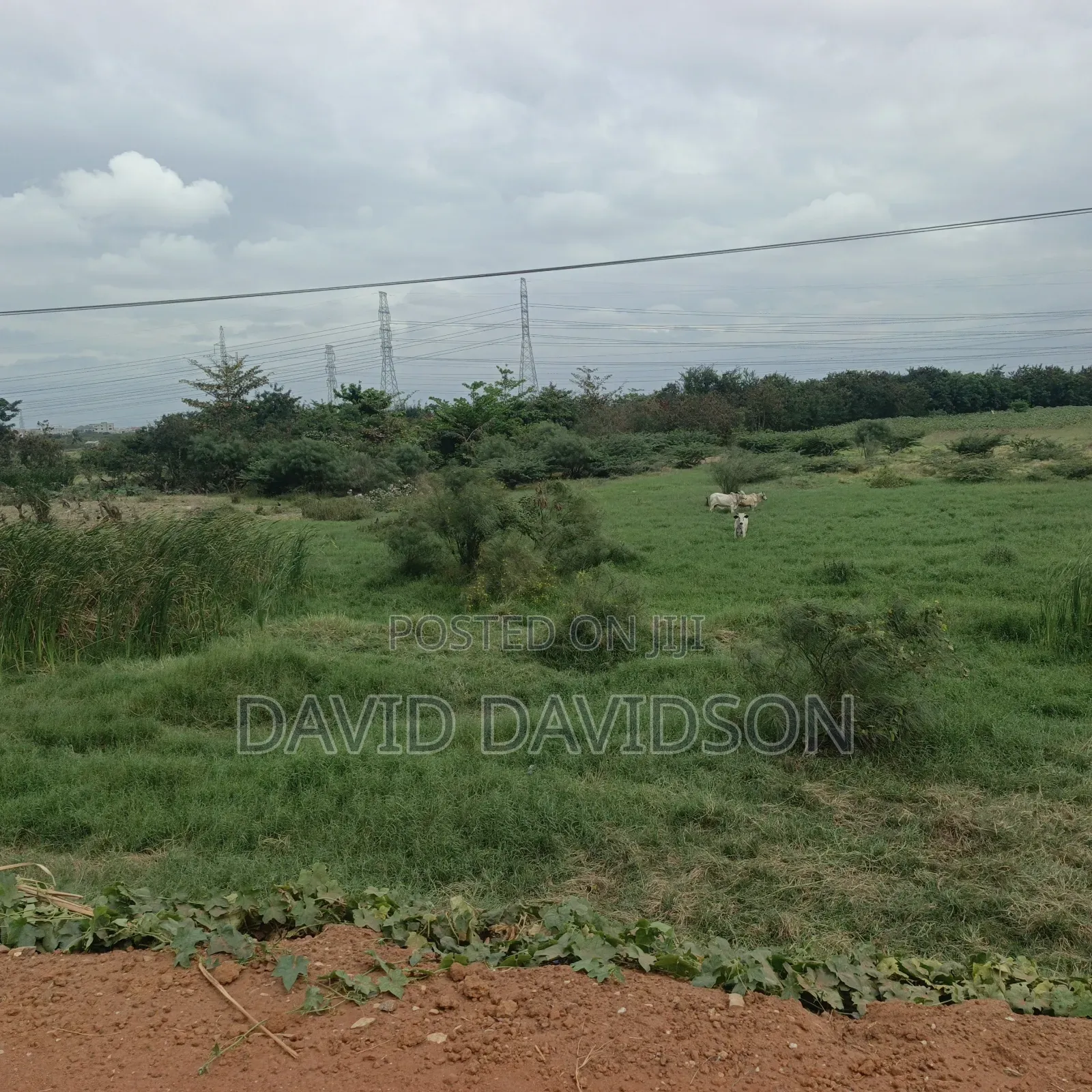8 Acres of Land at Tema Motoway Commercial