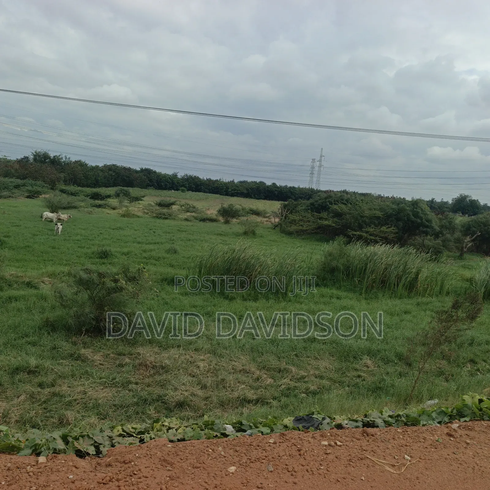 8 Acres of Land at Tema Motoway Commercial