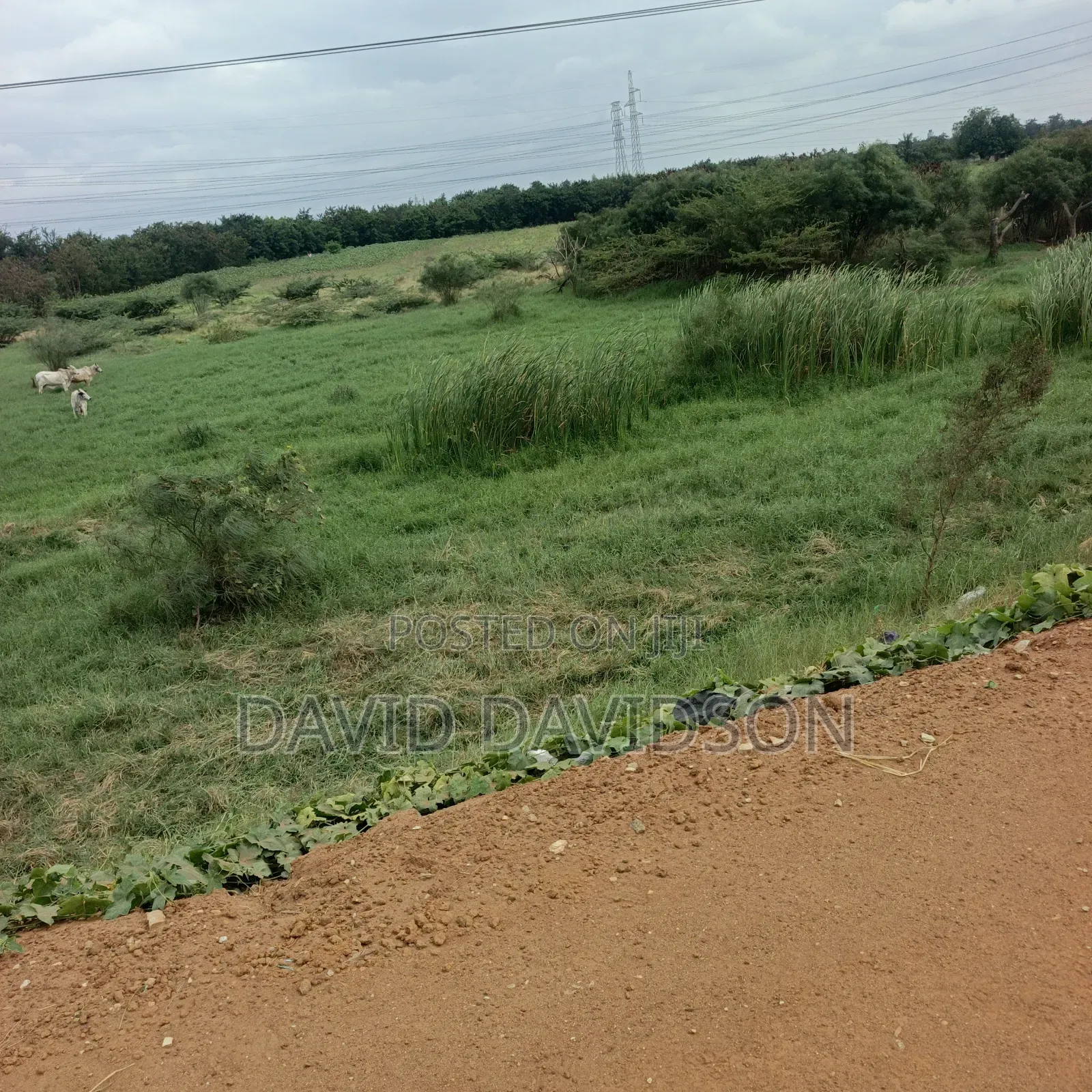 8 Acres of Land at Tema Motoway Commercial