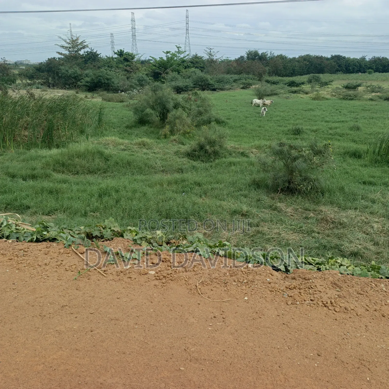 8 Acres of Land at Tema Motoway Commercial