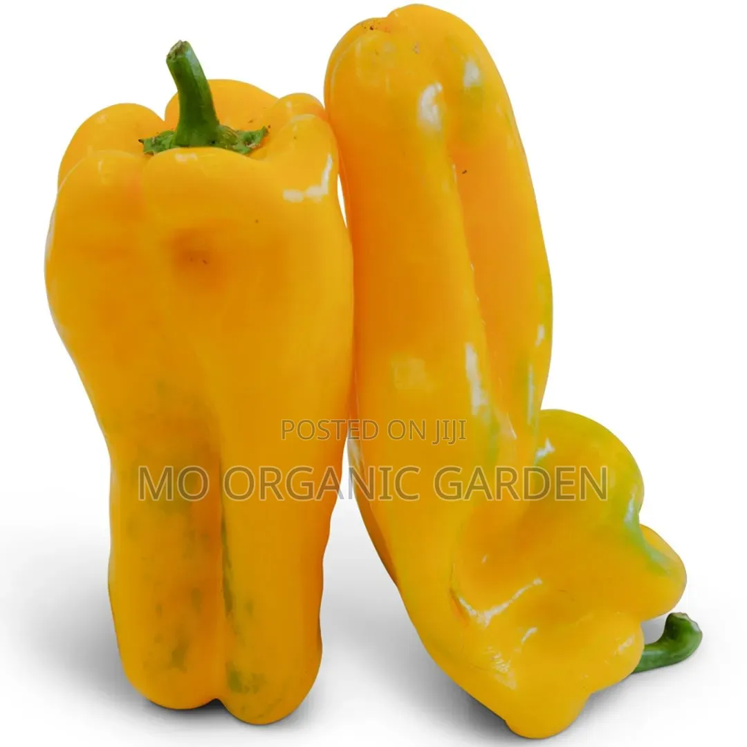Monster Yellow Pepper Seeds