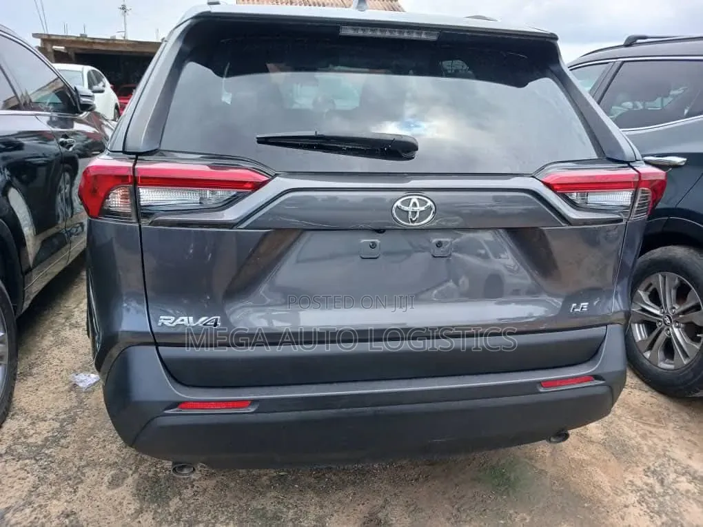 Toyota RAV4 LE AWD 2019 Gray