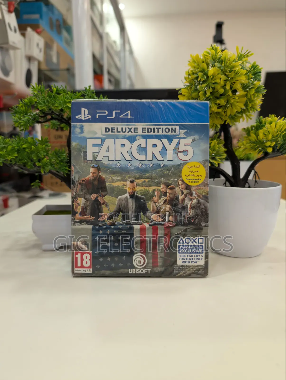 Far Cry 5 - Standard Edition PS4