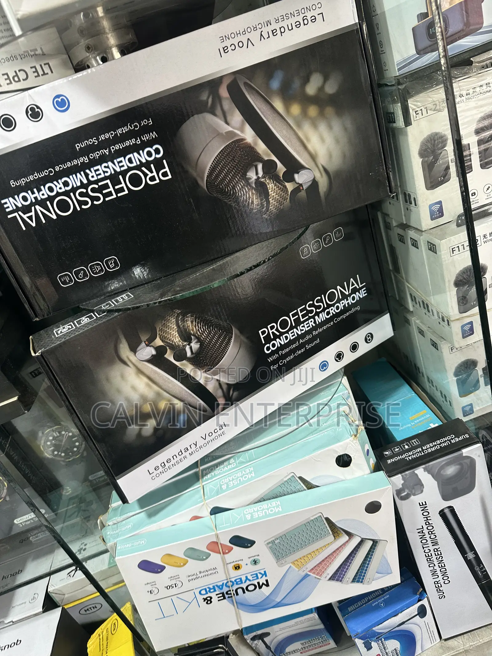 Professional Condenser Microphone