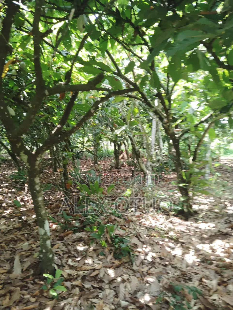Plot of Land Back of Afari Military Hospital