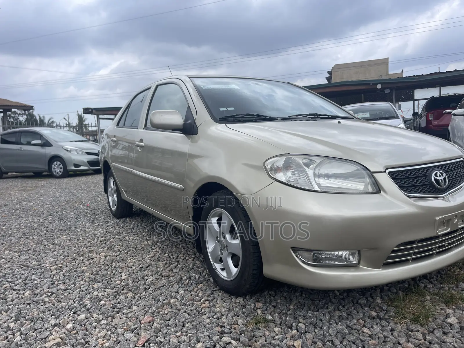 Toyota Vios 2010 Gold