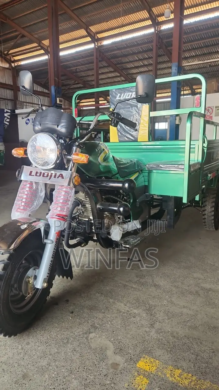 New Luojia Motorized Tricycle 2026
