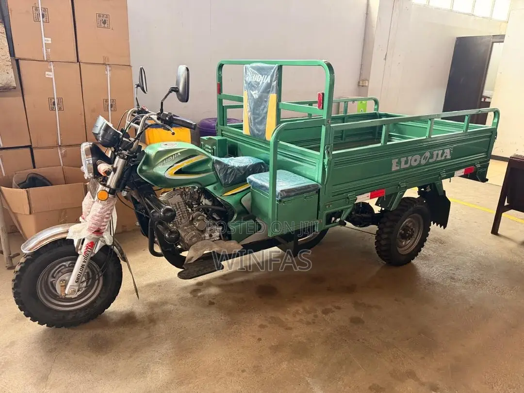 New Luojia Motorized Tricycle 2026