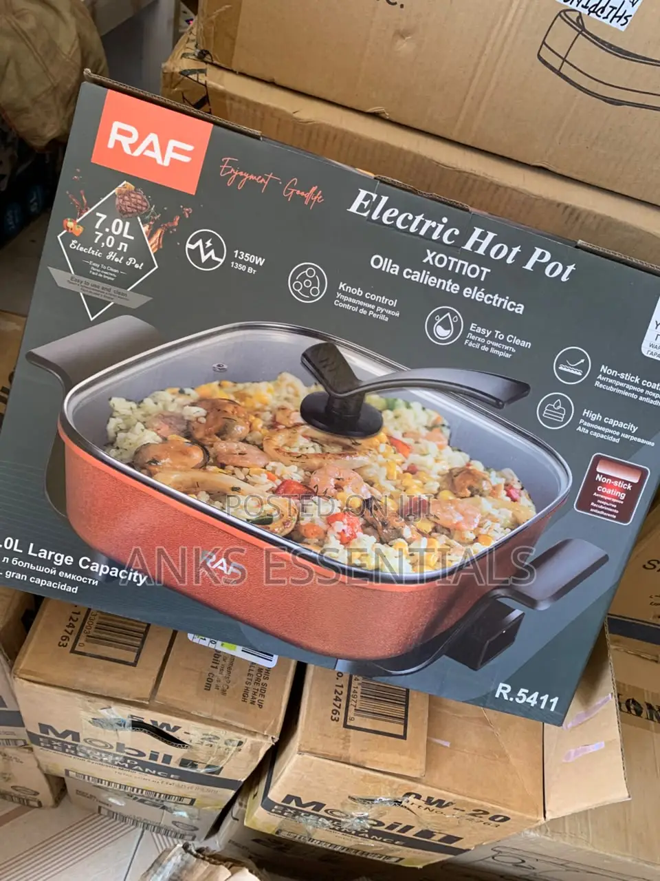 RAF R.5411 Large Capacity Electric Cooking Pot