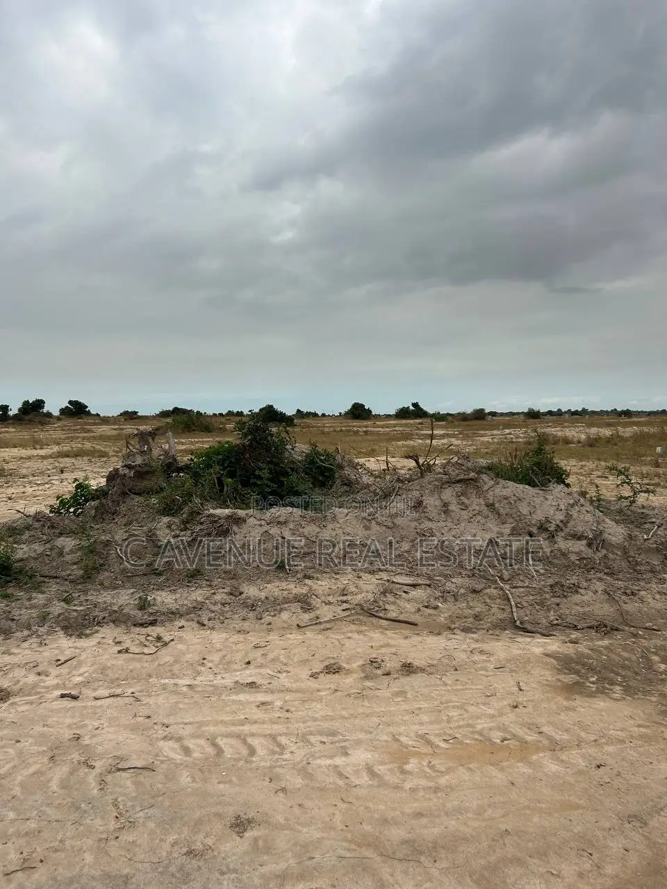 Invest in Land. Plan for Tomorrow.