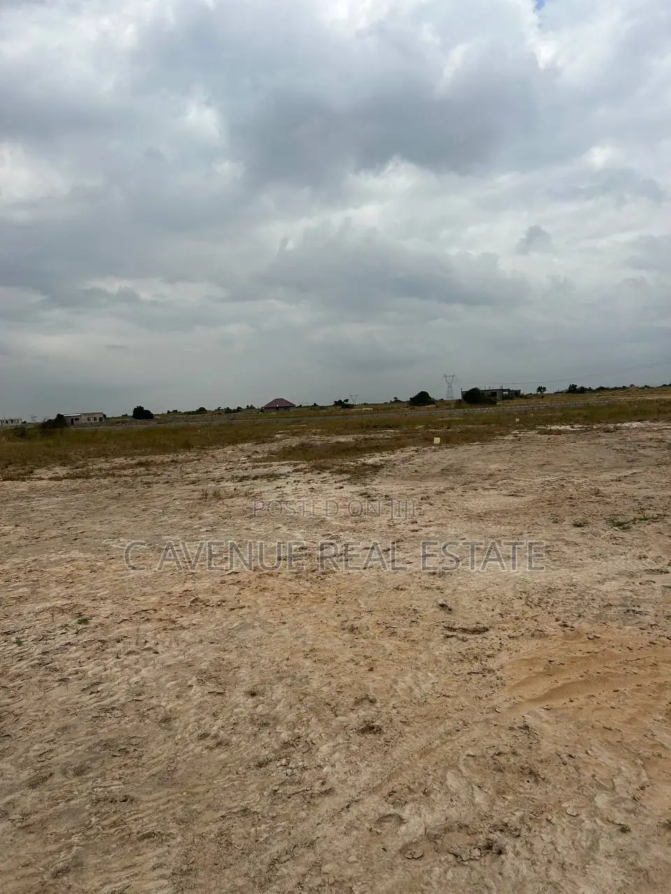 Invest in Land. Plan for Tomorrow.