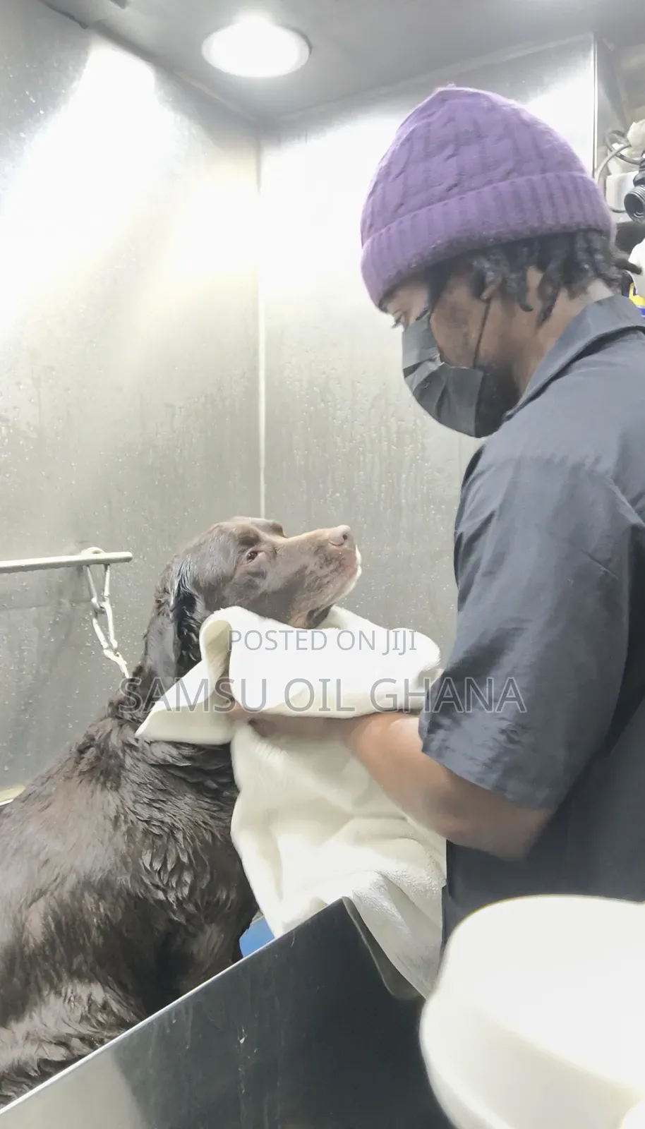 Dog and Cat Grooming Salon in Accra Ghana