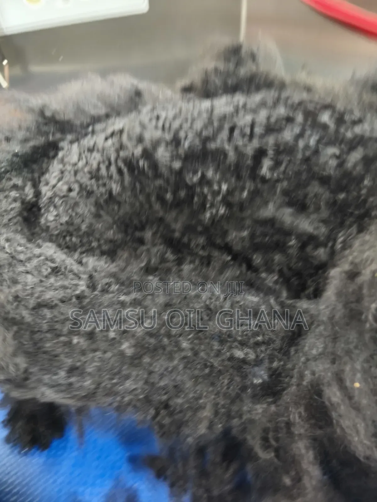 Dog Hair Cutting | Dog Hair Trimming | Pet Hygiene Services in Accra