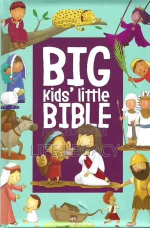 Big Kids' Little Bible