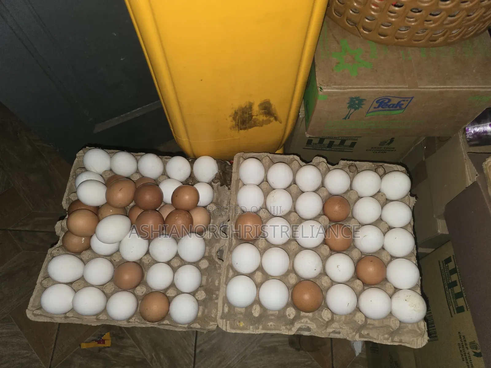 Fresh Eggs