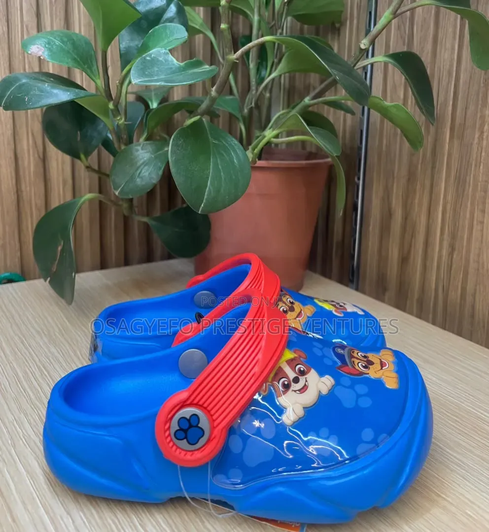Kids' Cartoon Character Clog