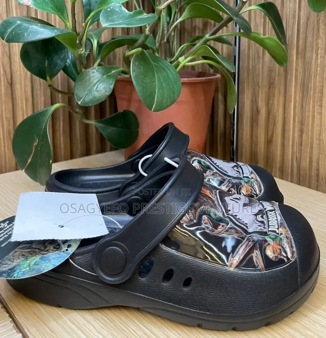 Kids' Cartoon Character Clog