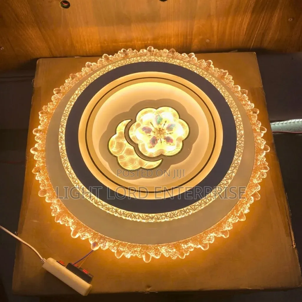 Bachelor Epic Ceiling Light 3color With Remote Controls