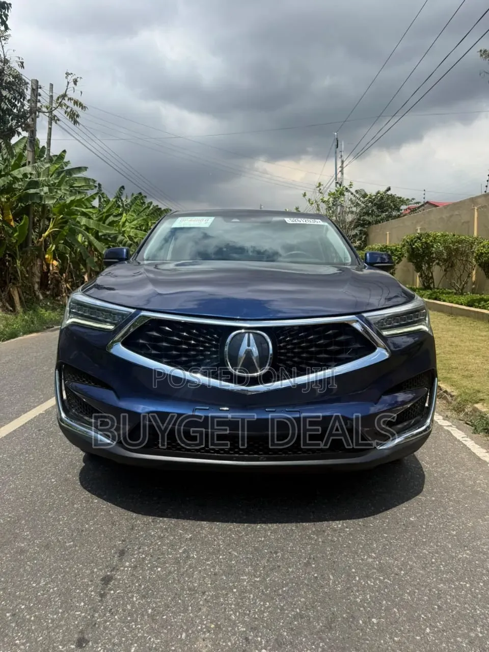 Acura RDX Advance Pkg AWD 2019 Blue