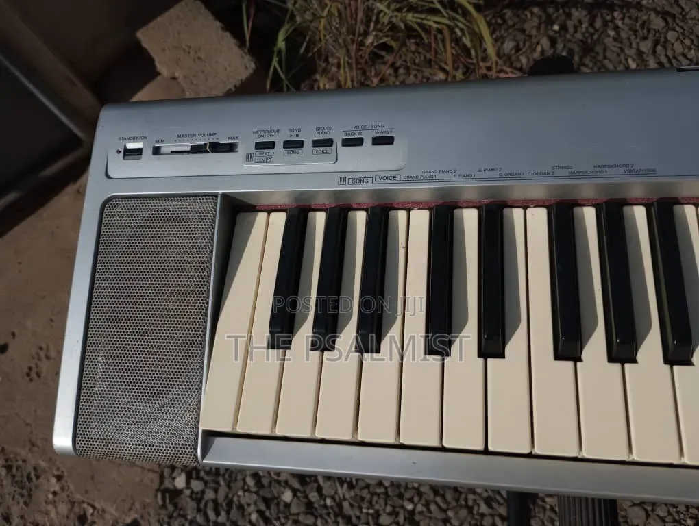 Yamaha Portable Grand NP- 30 With an Adapter