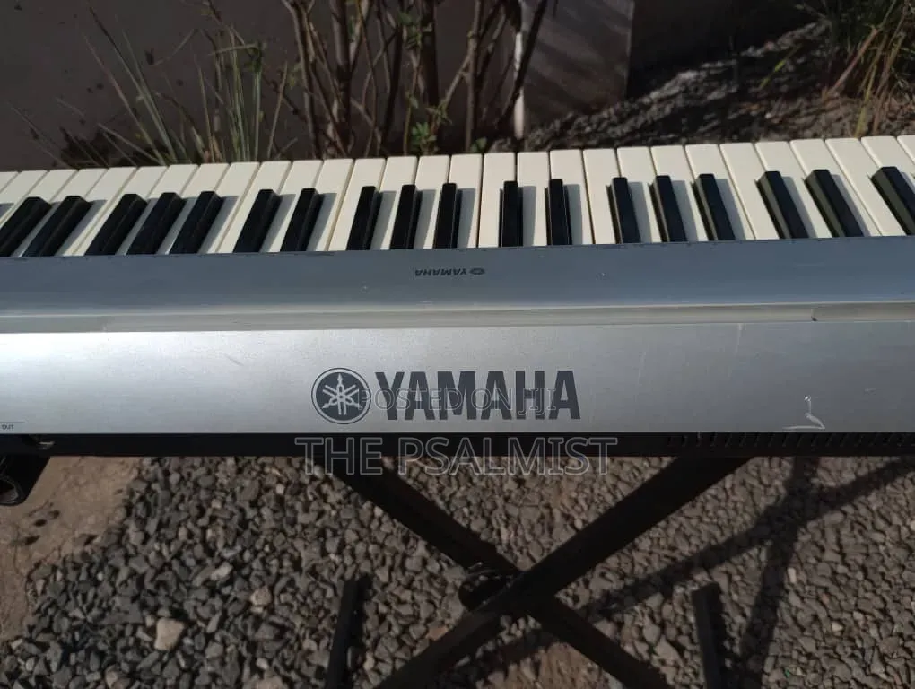 Yamaha Portable Grand NP- 30 With an Adapter