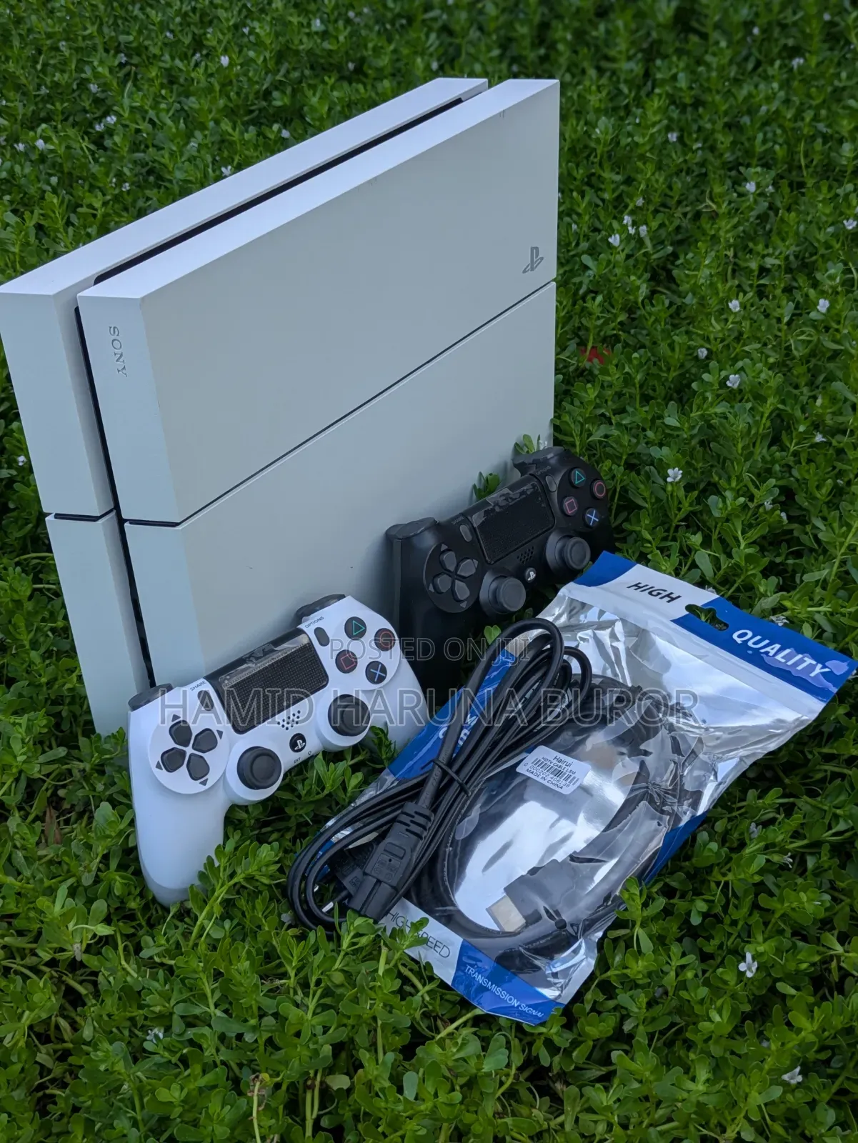 PS4 Standard Limited Edition (Jailbreak With Games)