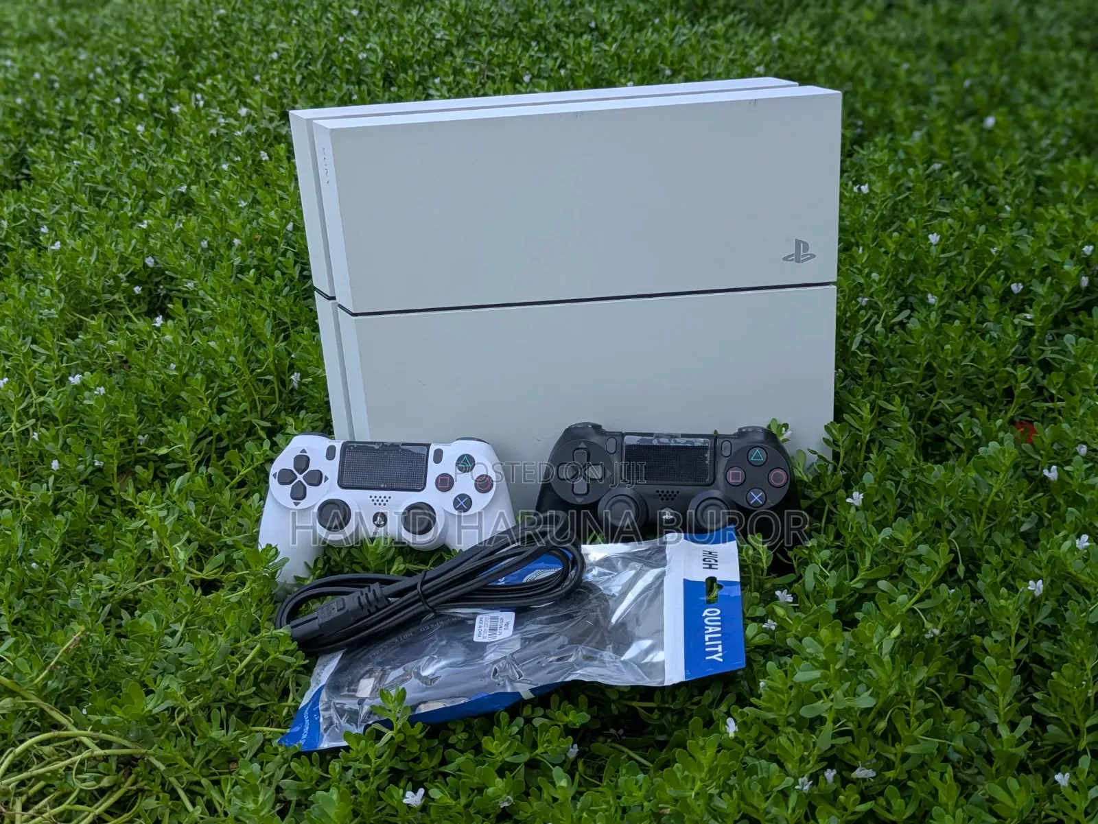 PS4 Standard Limited Edition (Jailbreak With Games)