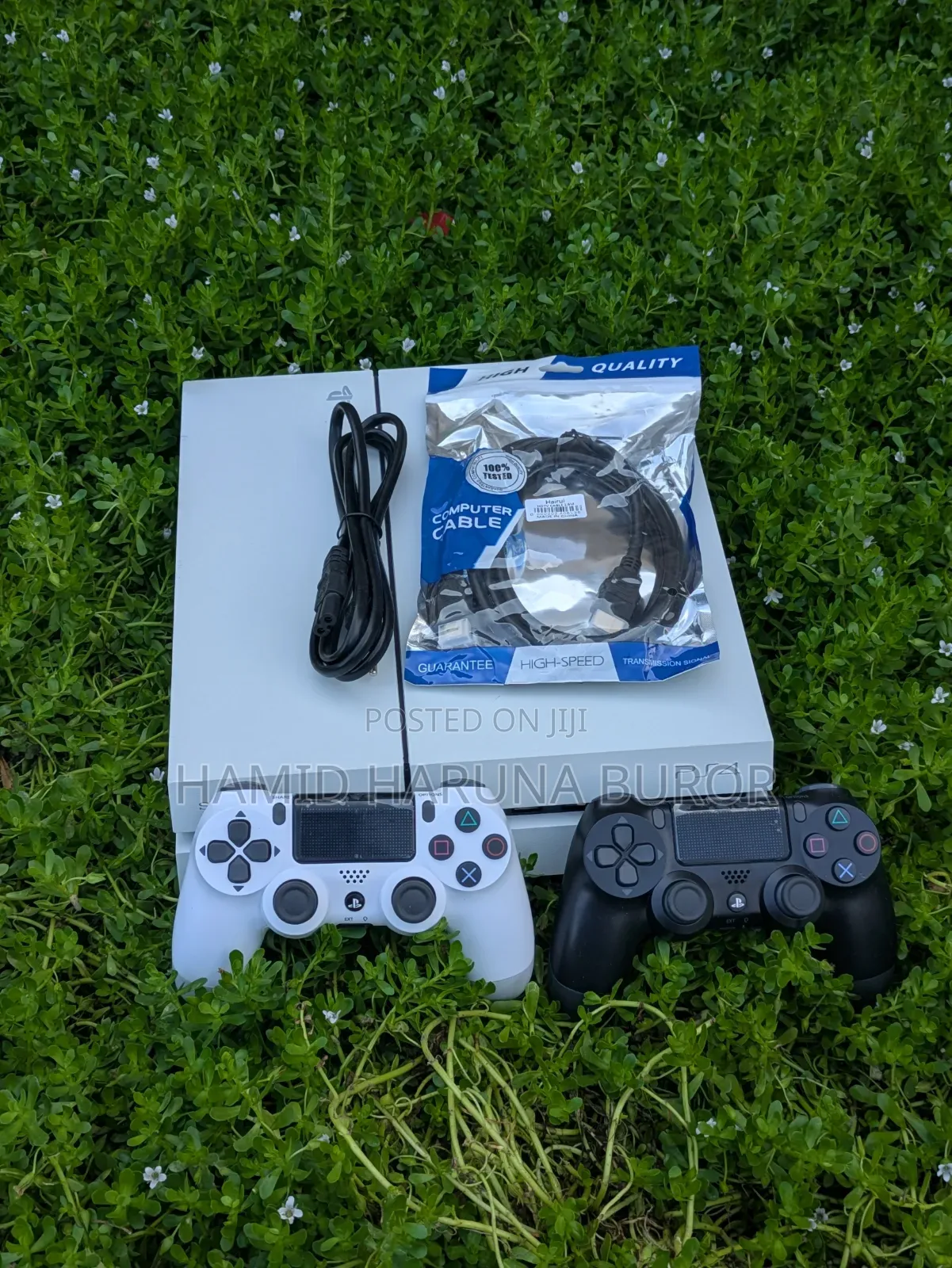 PS4 Standard Limited Edition (Jailbreak With Games)