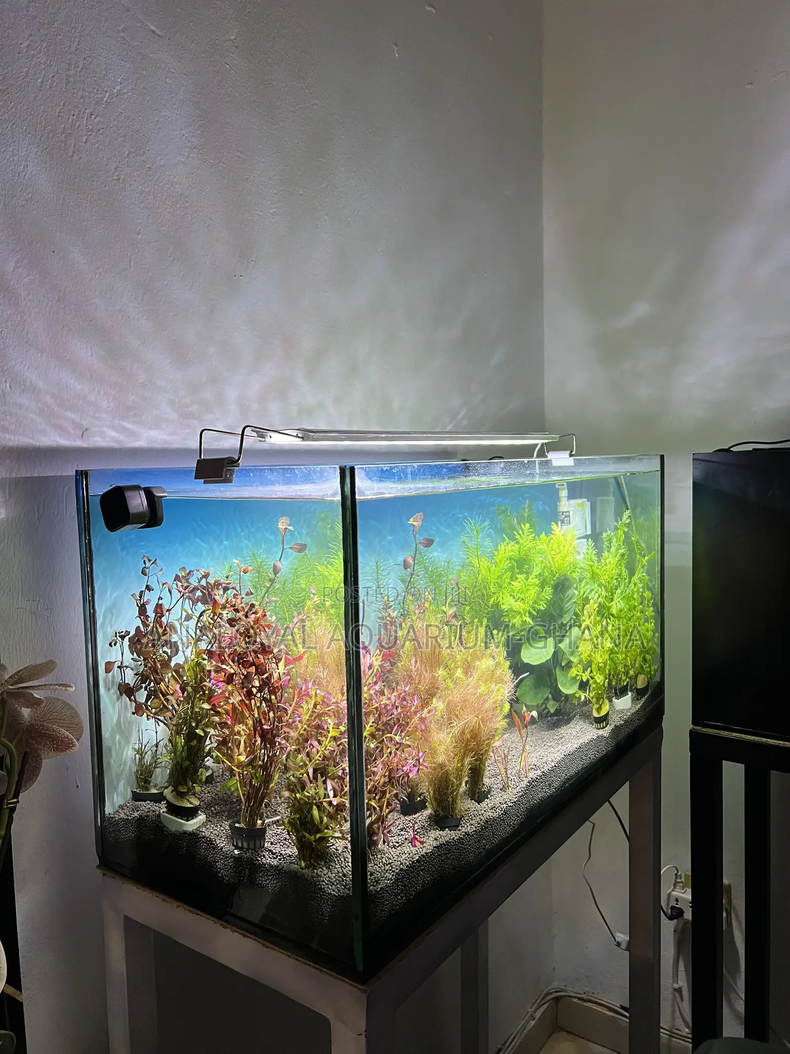 Natural Tank Aquarium