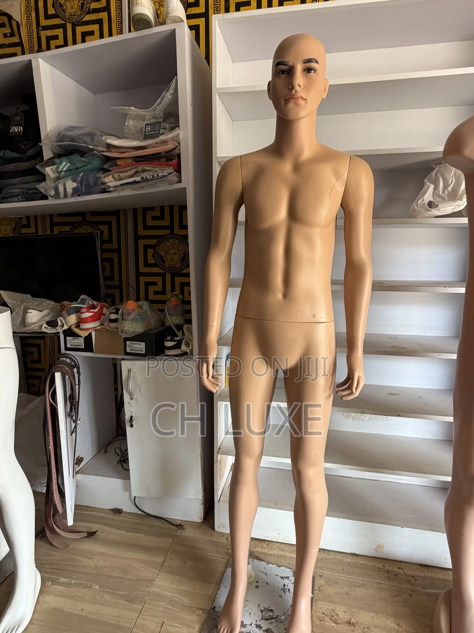 Male Mannequin