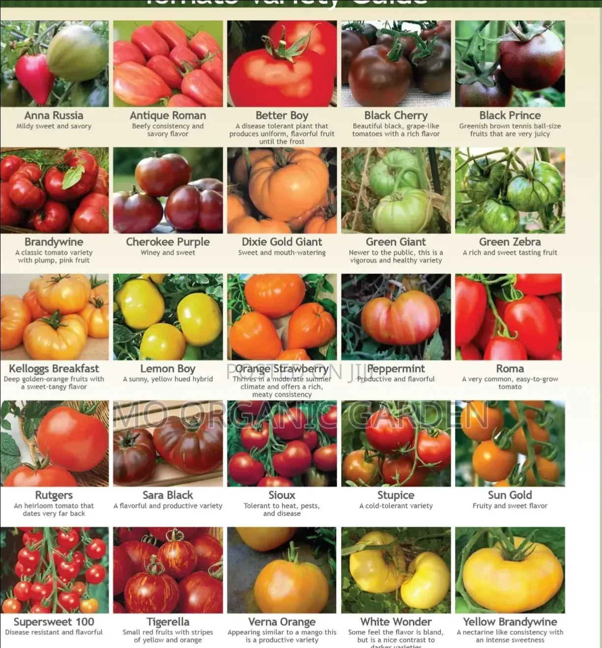 Tomato Seeds – Different Varieties Available for Sale